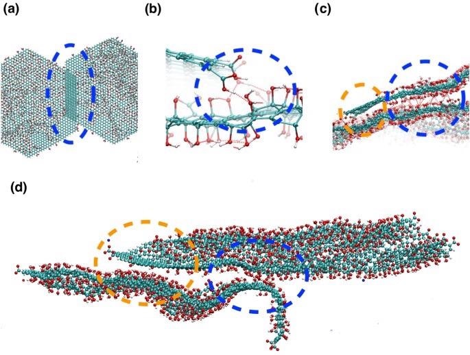 Snapshots from the atomistic simulations at 300K after the simulated annealing run, illustrating the different partial face-face binding modes observed for GO with a C:O ratio of 2.5. (a)–(c) are snapshots for uncharged (i.e. low pH GO), (d) is a snapshot for charged GO flakes with Na+ ions. The different binding modes are highlighted by dashed ovals and circles. (a) The flakes have overlapped due to p–p stacking interactions between sp2 carbon atoms. (b) The protonated carboxylic acid atoms form hydrogen bonds with hydroxyl groups on overlapping flakes. Hydrogen bonds are shown by red dashed lines, defined by the distance between oxygen and hydrogen atoms < 4.5 Å and acceptor oxygen–donator oxygen–hydrogen atom angle < 40°. (c) Blue circle: hydroxyl groups form hydrogen bonds with hydroxyl groups on overlapping flakes. Orange circle: sp2 carbon atoms are interacting with an area of oxidised graphene oxide on an adjacent sheet, via van der Waal’s interactions. (d) Binding modes for two charged GO sheets with Na+ ions. The orange circle highlights interactions between a sp2 carbon atoms and hydroylated regions on an adjacent flake, the blue circle shows hydrogen bonded interactions between the flakes. The lower flake has become wavy and contorted to keep apart the charged carboxylate groups.