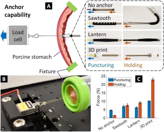 Anchor capability. (A) Experimental diagram to measure the puncturing and holding force of different types of anchors through the real porcine stomach tissue (~?3 mm thickness). (B) Actual experimental setup. (C) Experimental results.