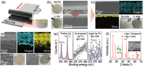 a) Experimental scheme for preparing Ag-Li alloy foil. b) Cross-sectional SEM images of the (upper) pristine Ag and (bottom) thick Li foils with corresponding digital photographs. Cross-sectional SEM images and digital photographs of the c) as-prepared Ag-TLi and d) aged Ag-TLi, and their corresponding EDS elemental mappings of oxygen and silver. Top-view SEM images of Ag and Li sides of the aged Ag-TLi are also displayed in (d). e) Ag 3d XPS spectra of the pristine Ag and Li sides of the as-prepared and aged Ag-TLi. f) XRD pattern of the aged Ag-tLi shown in SEM image (inset).