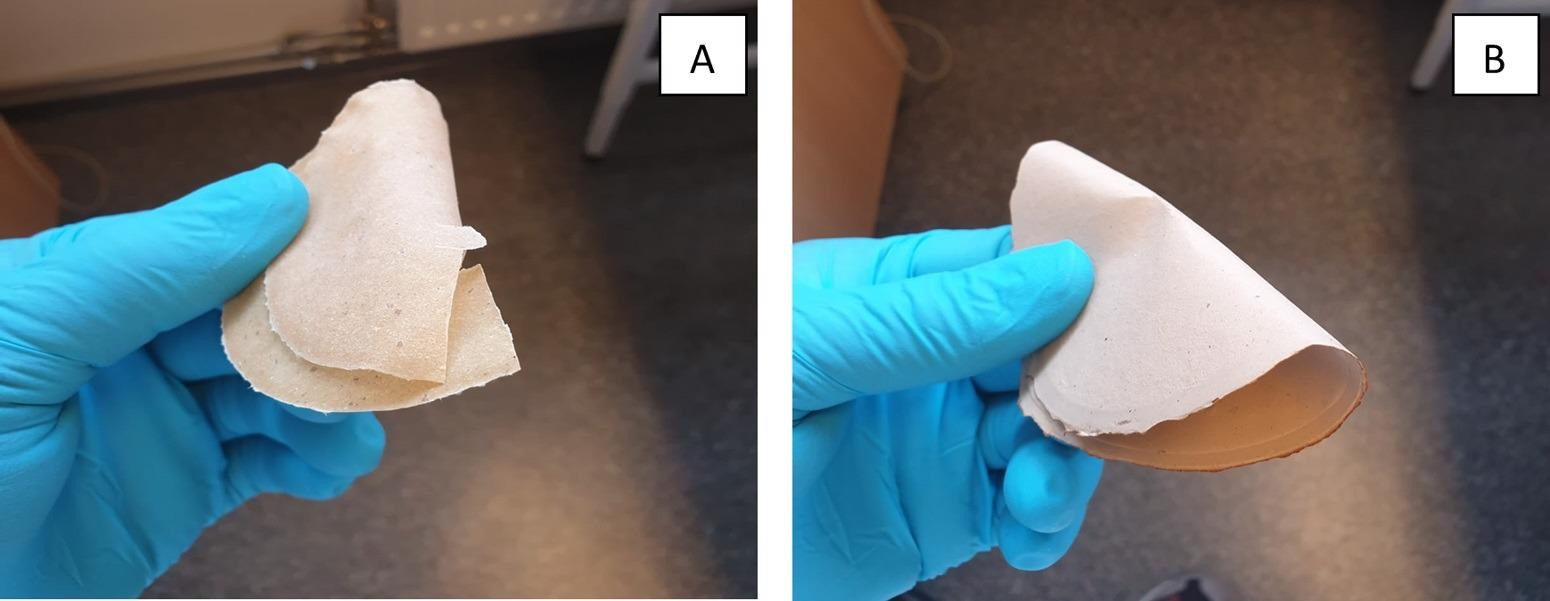 A: The brittle sheet prepared with untreated fungal biomass (RD) and B: The flexible sheet made from tannin treated fungal biomass (RD-T).