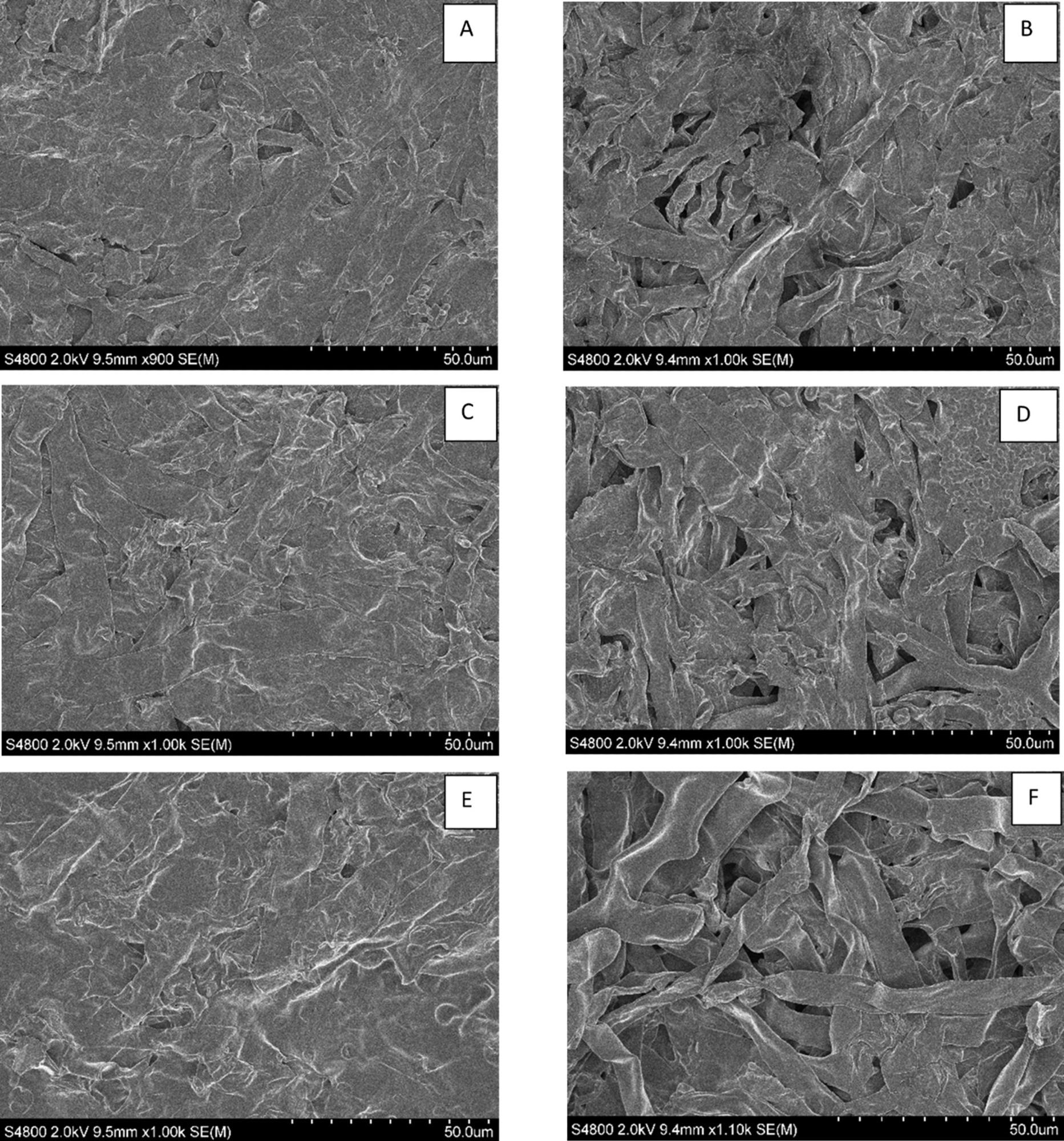 SEM images of the different wet-laid sheets (A) RD, B) RD-T, C) RD-G, D) RD-TG, E) RD-GB and F) RD-TGB.