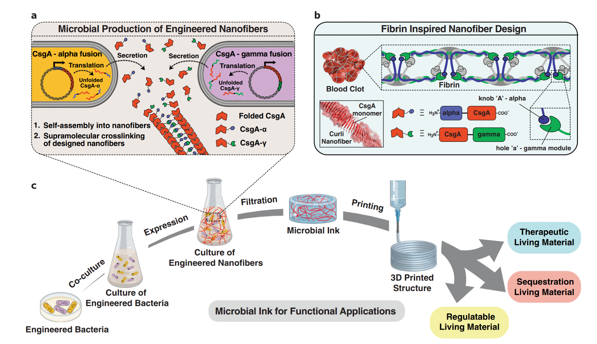 3D Printed Bioink Produced from Genetically Engineered Microbial Cells.