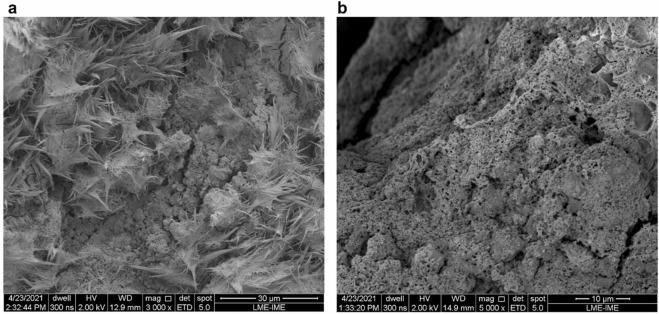 FEG-SEM images GPF/PLA foam composites: (a) 1.4 present different porous surface and polymeric fiber morphologies, as well as, (b) many small porous at a compact structure.