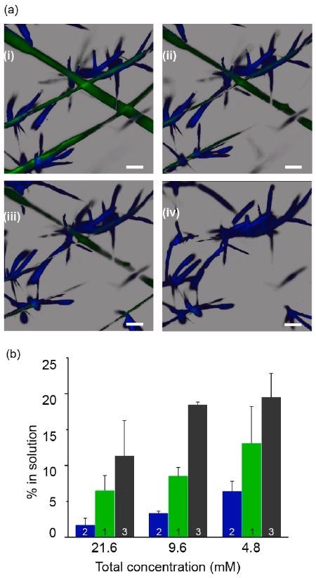 Solubility differences allow for selective supramolecular template removal. (a) Confocal microscopy timelapse images showing selective removal of green scaffold (1) by slow addition of sodium dithionite DT while keeping the blue fluorescent assemblies of 2 intact. Scale bars: 50 µm, time interval between images i–iv: 20 min. (b) Percentage of soluble molecules as a function of total solution concentration of individual assemblies of 1–3, determined by 1H NMR in comparison with a soluble internal standard (hydroquinone).