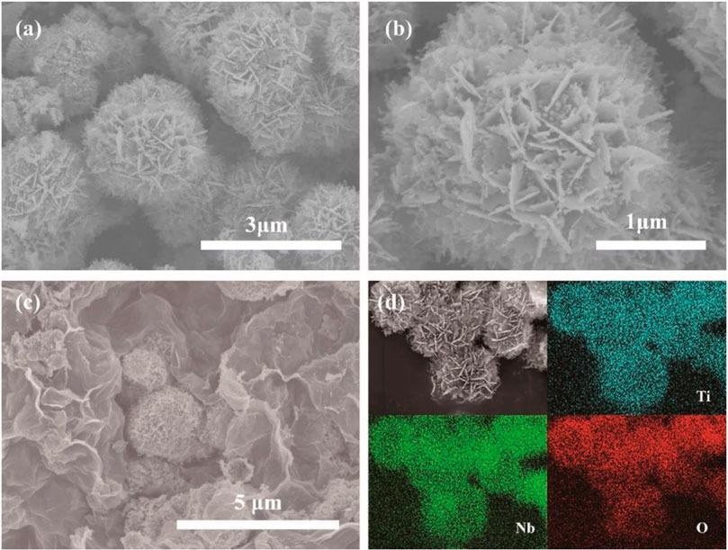 (A) SEM image of pristine TNO, (B) enlarged magnification SEM image of pristine TNO, (C) SEM image of TNO/NC/GO, (D) EDS mapping of different elements.