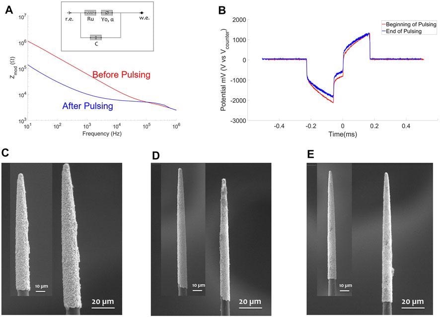 300 Hz Electric pulse test. (A) EIS of one PtIr-CF before (red solid line) and after (blue solid line) pulsing on Day1; as inset the circuit model used for fitting impedance data is shown. (B) Voltage transient for one PtIr-CF in the beginning (red) and at the end of pulsing test (blue); a biphasic pulse of 170 µs duration and amplitude of 105 µA (1 mC/cm2) was applied. (C–E) SEM of three PtIr-CF before as inset and after 12 h of pulsing test.