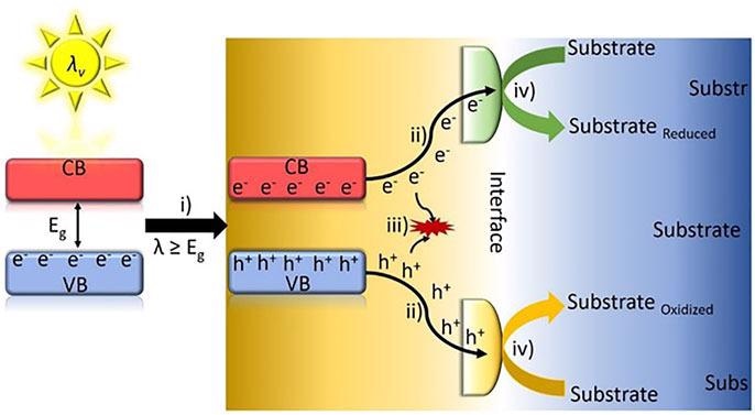 Schematic diagram of semiconductor photocatalytic reaction mechanism and the fundamental steps taking place. (i) Photo-induced electron e-/h+ pairs, (ii) charge carriers migration to the semiconductor surface, (iii) charge recombination, and (iv) red/ox reactions.