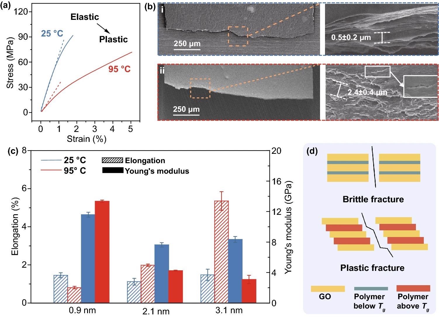 a Typical stress–strain curves of Pi-GOS (d = 3.1 nm) at 25 °C (blue) and 95 °C (red). b SEM images of transverse cross section morphology of Pi-GOS (d = 3.1 nm) after tensile breaking at 25 °C (top) and 95 °C (bottom). c Young’s modulus and elongation of Pi-GOS with different d-spacing at 25 °C (blue) and 95 °C (red). d Schematics of brittle tensile fracture of Pi-GOS below Tg and plastic tensile fracture above Tg.