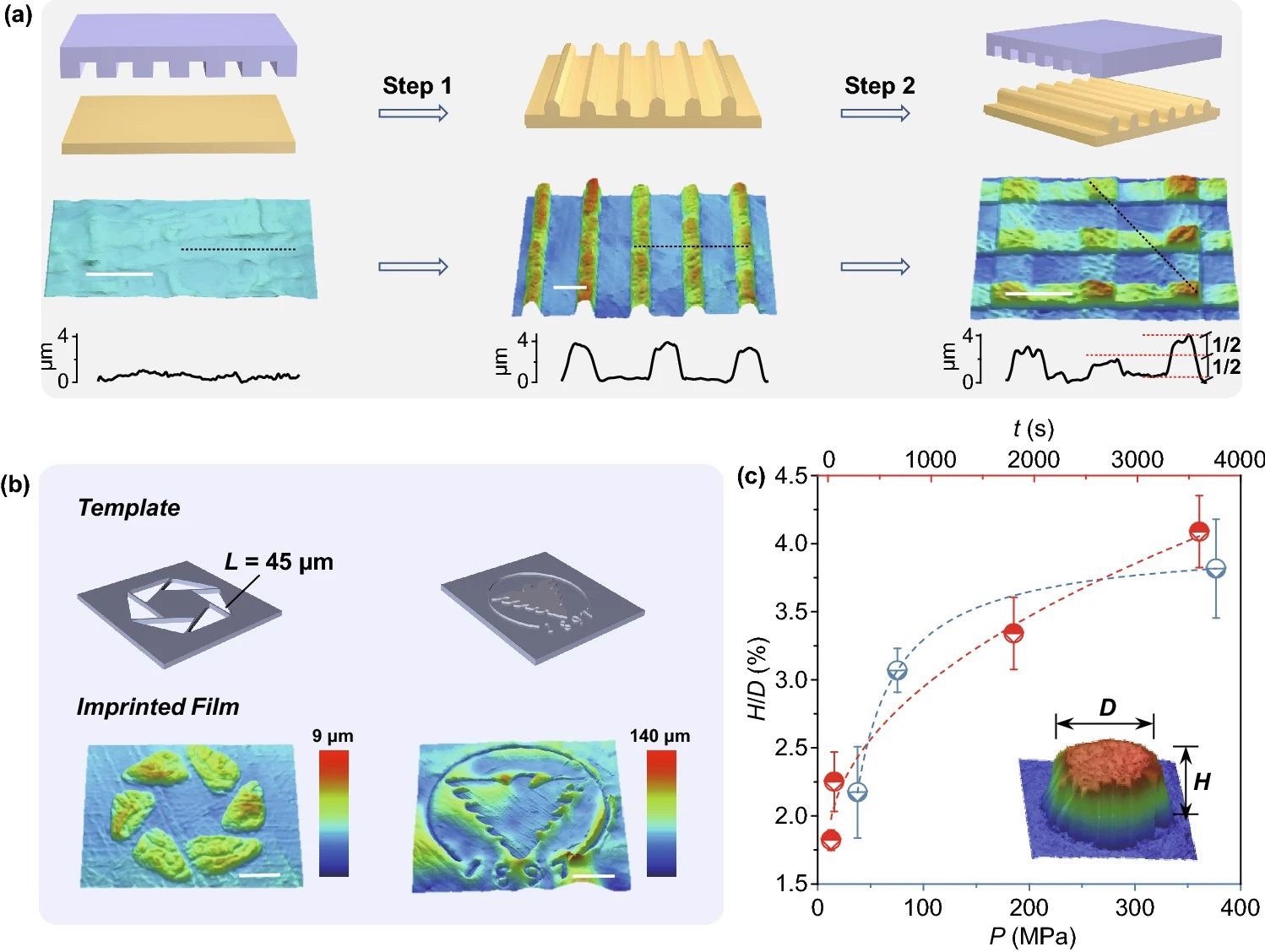 a Representation of multi-imprinting process from flat to micro-pattern stages. Scale bar, 50 µm. b Surface patterns on Pi-GOSs through micro imprinting: simple hexagon formed by triangles (left), embossment of the ZJU logo (right). Scale bars, 50 µm (left), 2 mm (right). c The curve of height-diameter ratio versus pressure and time. Dashed lines correspond to the fitting results and points represent experiment results (error bars are based on the standard error of the mean)