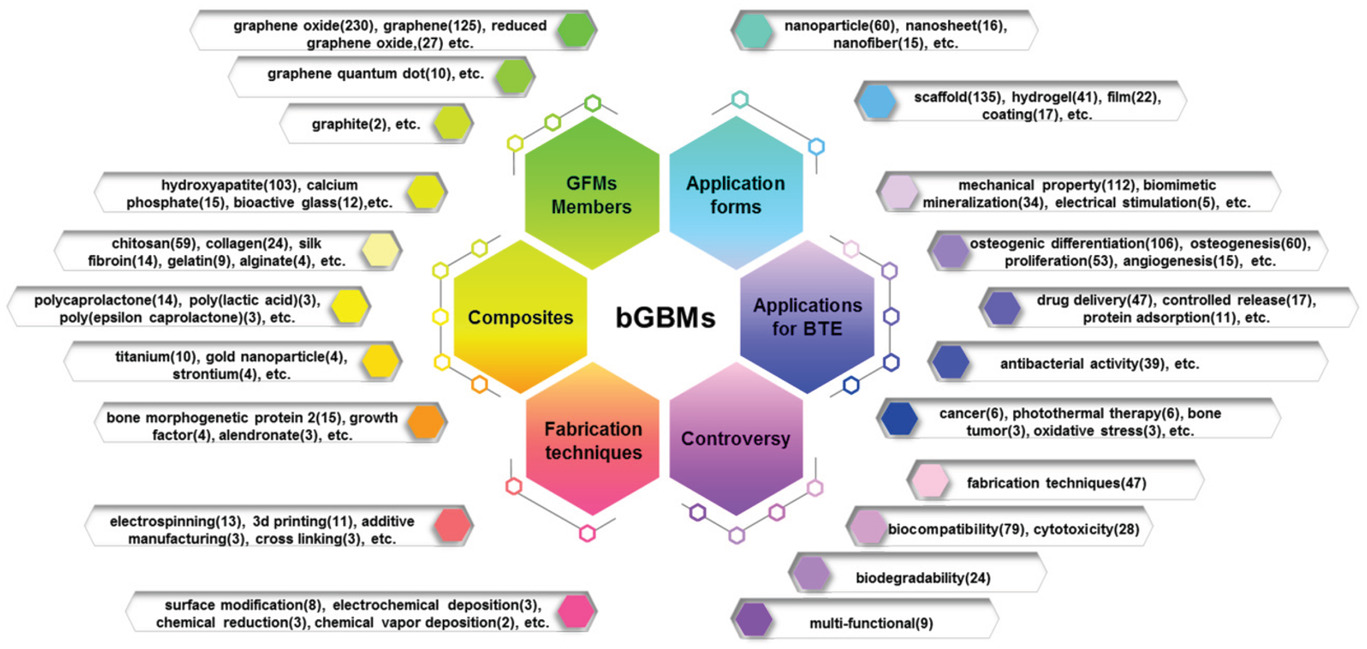 Classification of the 235 keywords according to the themes of GFMs members, composites, fabrication techniques, application forms, applications for BTE, and controversy. The frequency of keyword occurrences is numerically marked in parentheses.