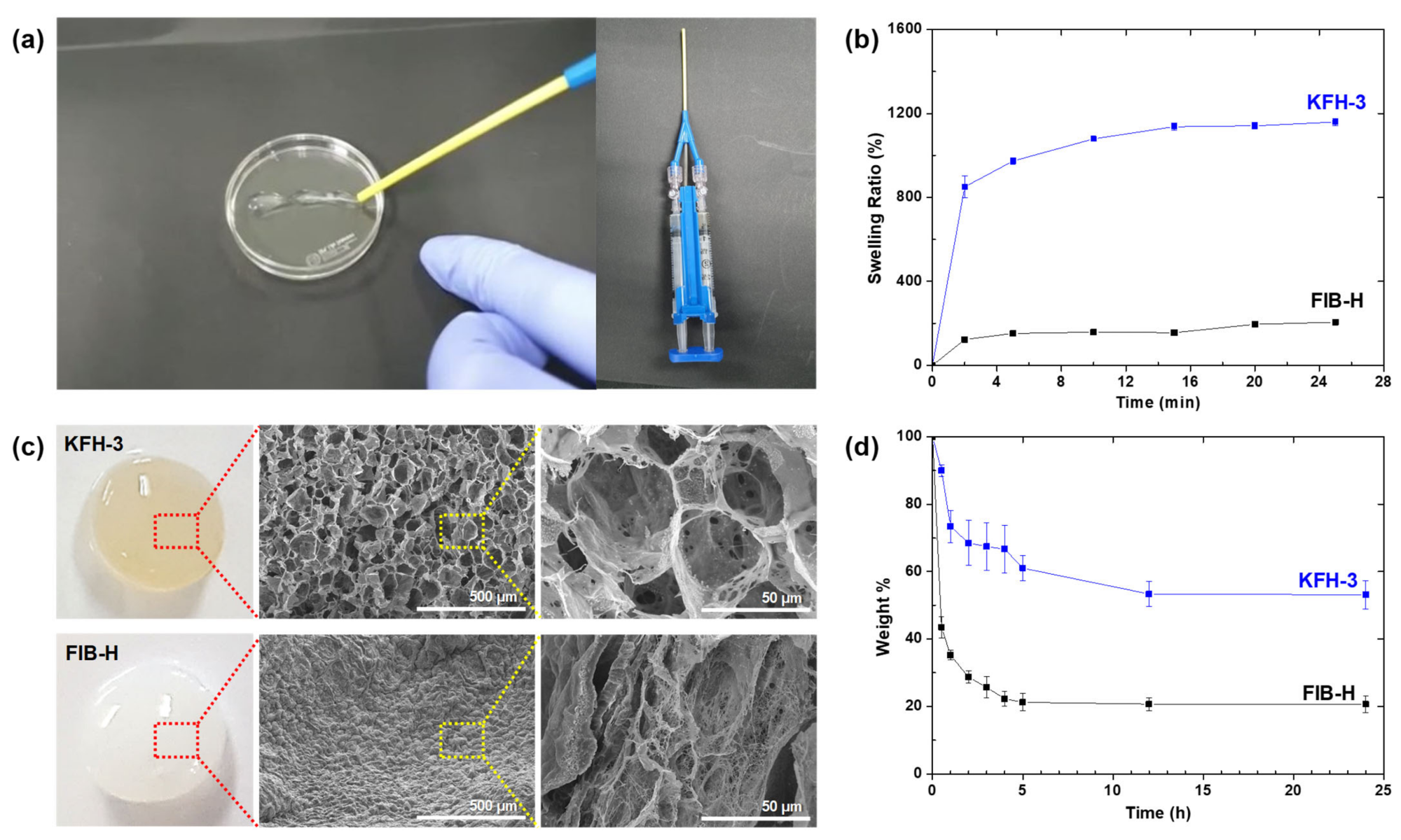 (a) The KFH-3 hydrogel was able to pass through a needle without clogging, indicating its high injectability (left); the precursor solution was loaded onto one side of a dual-chambered syringe with an 18 G needle (diameter = 1.3 mm), and the THR solution was loaded onto the other side (right). (b) Swelling kinetics of KFH-3 and FIB-H in deionized water at 37 °C. (c) Digital pictures and SEM images of KFH-3 and FIB-H at different magnifications (scale bar = 500 µm and 50 µm, respectively). (d) Temperature- and pH-responsive degradation study of hydrogels was evaluated by the dry weight ratio of the hydrogel samples.