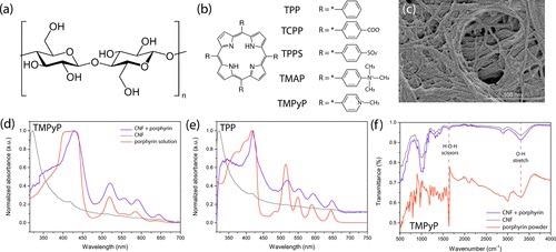 (a) Chemical structure of a cellulose molecule and (b) the porphyrin molecules used in the experiment. (c) SEM image of cellulose nanofibers on a silicon substrate. Normalized UV–vis absorption spectra of (d) TMPyP and (e) TPP porphyrin at 10–3 M concentration deposited on CNF compared to the background spectrum of CNF and the spectrum of the porphyrin in solution. (f) FTIR spectra of CNF compared to the spectrum of a sample porphyrin molecule (10–4 M TMPyP) on CNF and in powder form.