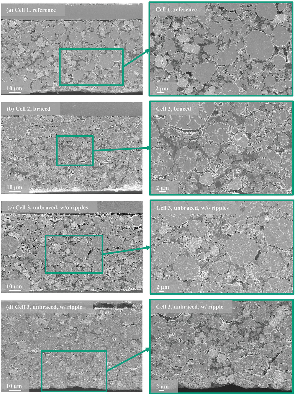 SEM cross sections of the differently aged cathodes. a) Cell 1, reference, b) Cell 2, braced, c) Cell 3, unbraced, w/o ripples, d) Cell 3, unbraced, w/ ripple. On the pictures on the left side the current collector can be seen at the top, and the electrode area near the surface at the bottom.