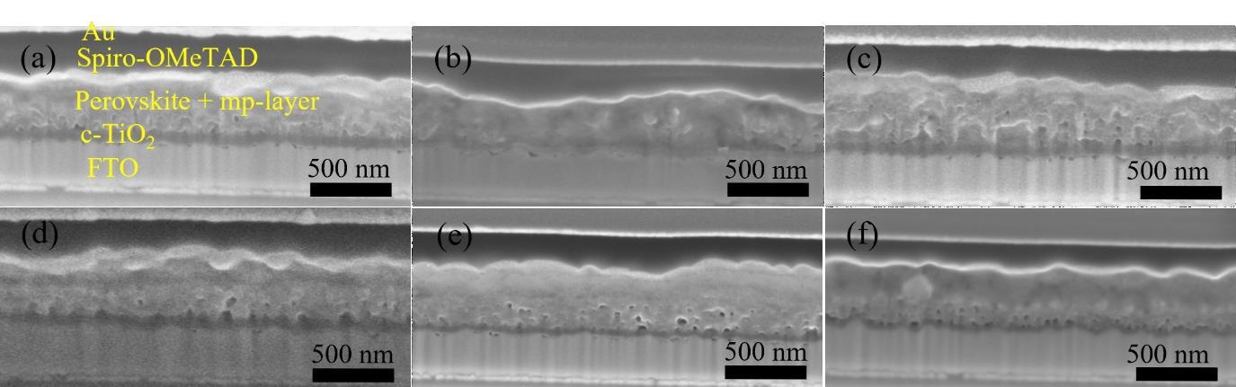 Cross-section SEM images of Device (a) S1, (b) S2, (c) S3, (d) S4, (e) S5, and (f) a spin-coated, TiO2-based PSC.