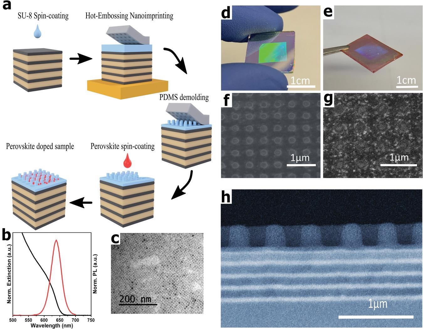 a) Schematic fabrication process of metal halide nanocrystal decorated quasi-3D photonic crystals. b) Absorption (black) and photoluminescence spectra (red) of CsPbBr1I2 nanocubes in hexane. c) TEM Image of CsPbBr1I2 perovskite nanocubes. Photograph of the 1 cm2 quasi-3D crystal under white light illumination d) before and e) after perovskite deposition. Top-view SEM image from the quasi-3D crystal f) before and g) after perovskite deposition. White bright dots around the pillars correspond to perovskite nanocrystals. h) Cross-section SEM image taken from the sample before perovskite deposition with SU-8 pillars on top of a distributed Bragg reflector (DBR) multilayered structure composed of TiO2 (bright) and SiO2 (dark).