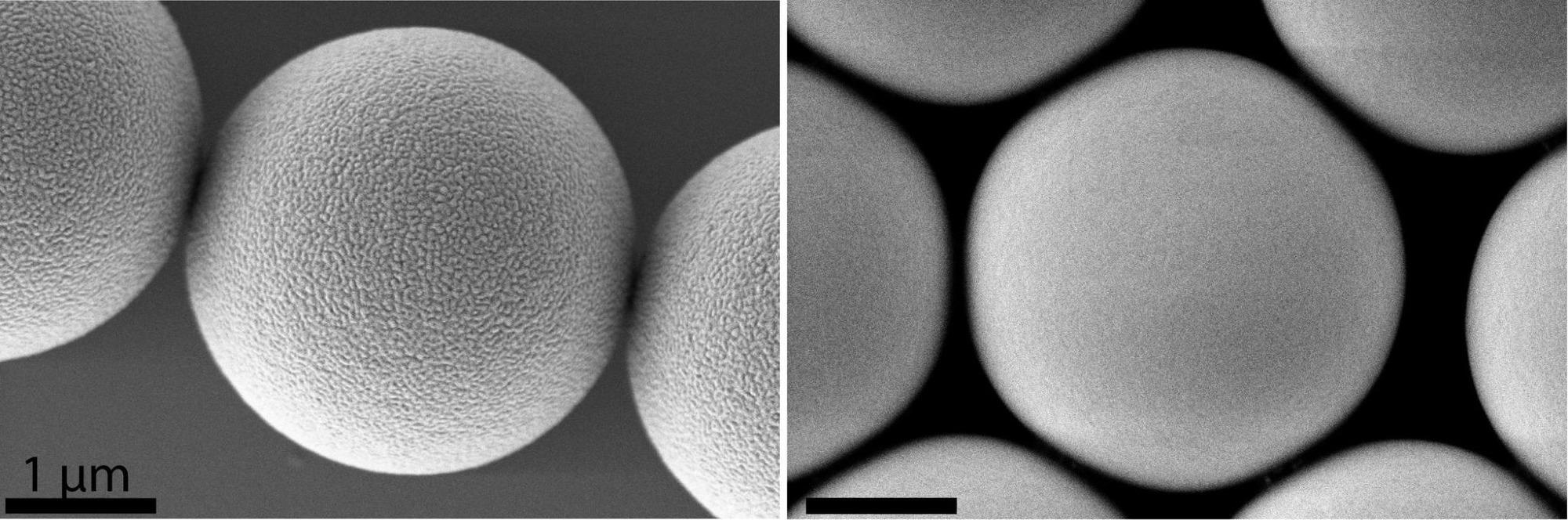 Researchers Detect Diverse Levels of Toxicity in Supposedly Similar Microplastic Particles.