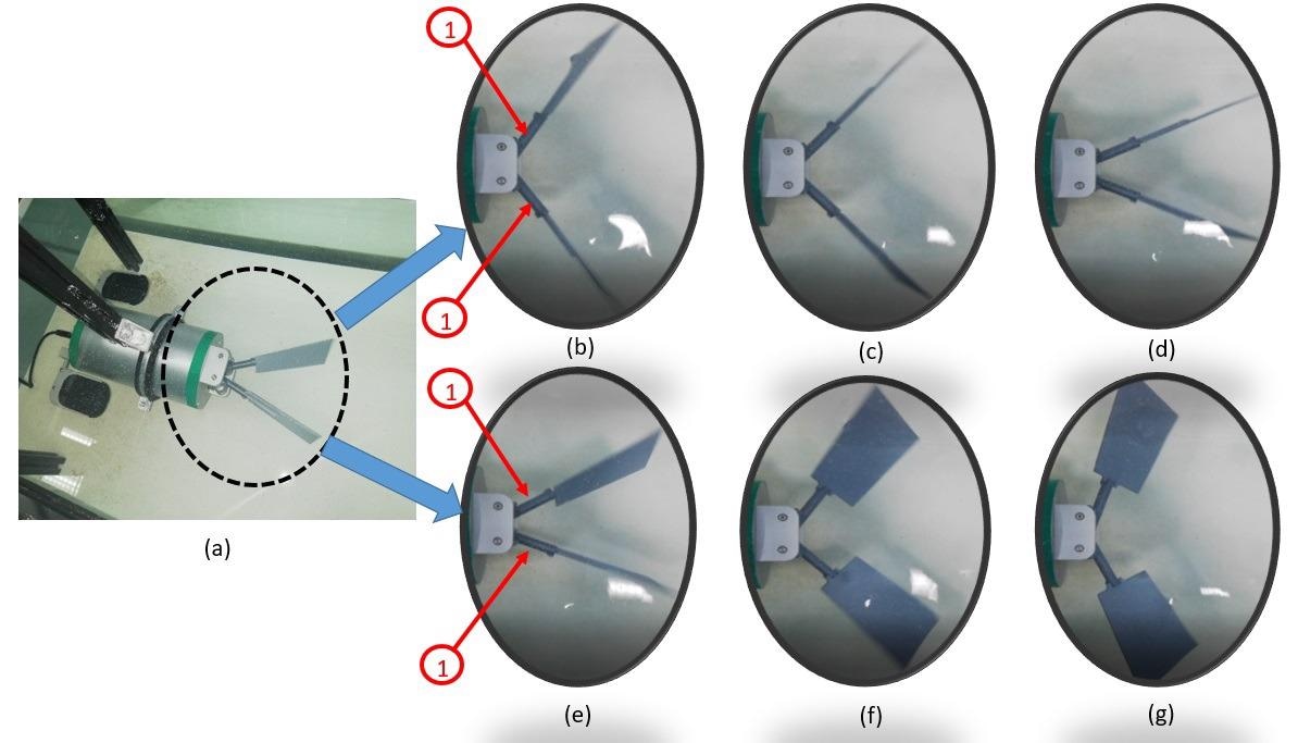 A BUUV (a) with subsequent phases of movement: (b–d) power stroke and (e–g) return stroke; 1—additional joint.