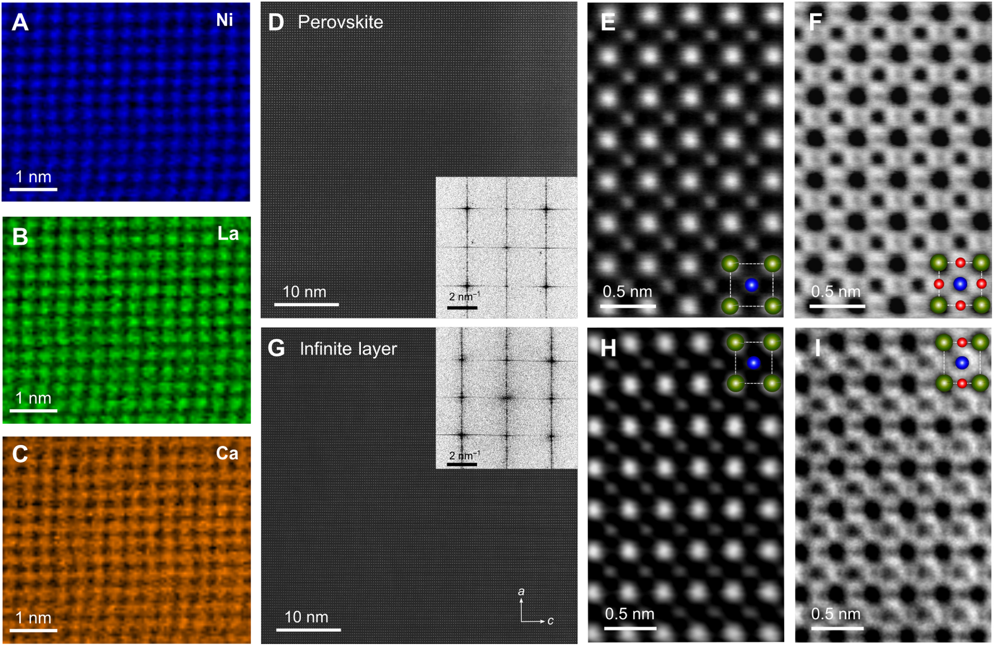 Topotactic transformation of the crystal structure. (A to C) Atomic-resolution STEM-EELS elemental maps of an as-grown perovskite crystal (x = 0.16) demonstrating the homogeneous distribution of Ni (A; blue), La (B; green), and Ca (C; orange) atoms. The maps were acquired simultaneously. (D and G) Low-magnification STEM-HAADF images of the perovskite and the reduced crystal, respectively, showing the absence of extended crystallographic defects. Insets correspond to the fast Fourier transformation of the HAADF images. (E and F) High-magnification STEM-HAADF and STEM-ABF images of the perovskite crystal. Both images were acquired from the same part of the STEM specimen. The superimposed cartoon indicates a pseudocubic unit cell with different elements highlighted according to their color in the elemental maps (A to C). Oxygen atoms can be identified specifically in the STEM-ABF image (F). (H and I) STEM-HAADF and STEM-ABF images of the reduced crystal, in analogy to (E) and (F).