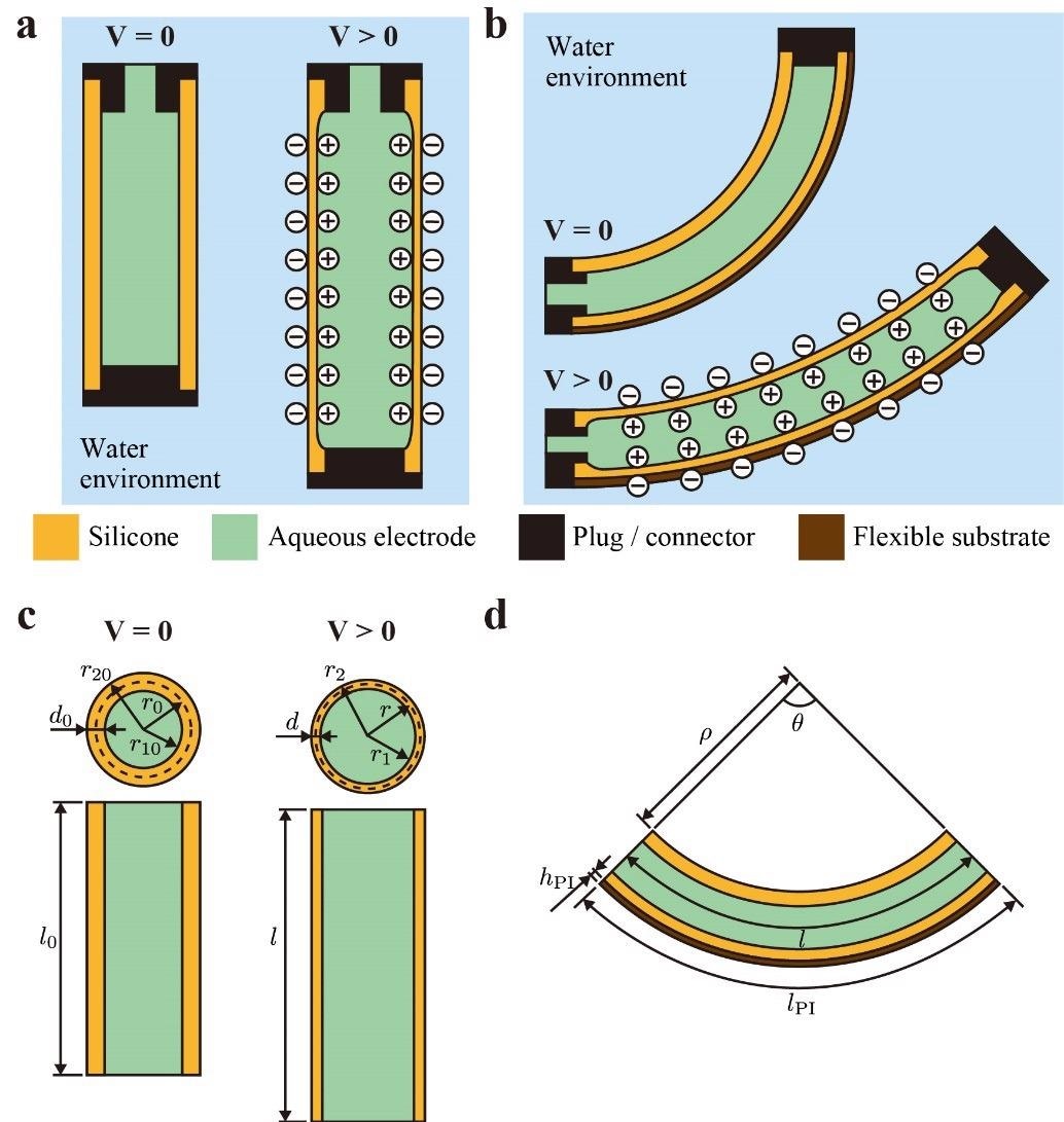 Working principle of (a) linear-type dielectric elastomer fiber actuators (DEFAs) and (b) bending-type DEFAs. (c) Schematics of linear-type DEFAs for modeling. (d) Schematics of bending- type DEFAs for modeling.
