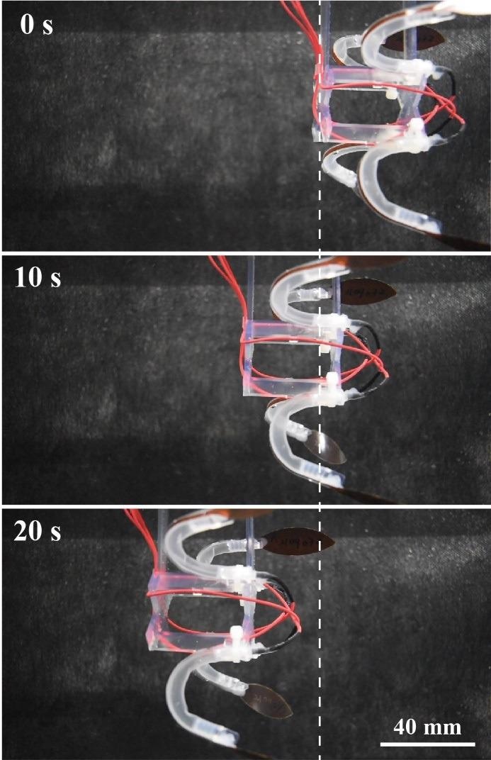 Swimming sequence of the jellyfish-type underwater robot driven at 10 kV and 4 Hz.