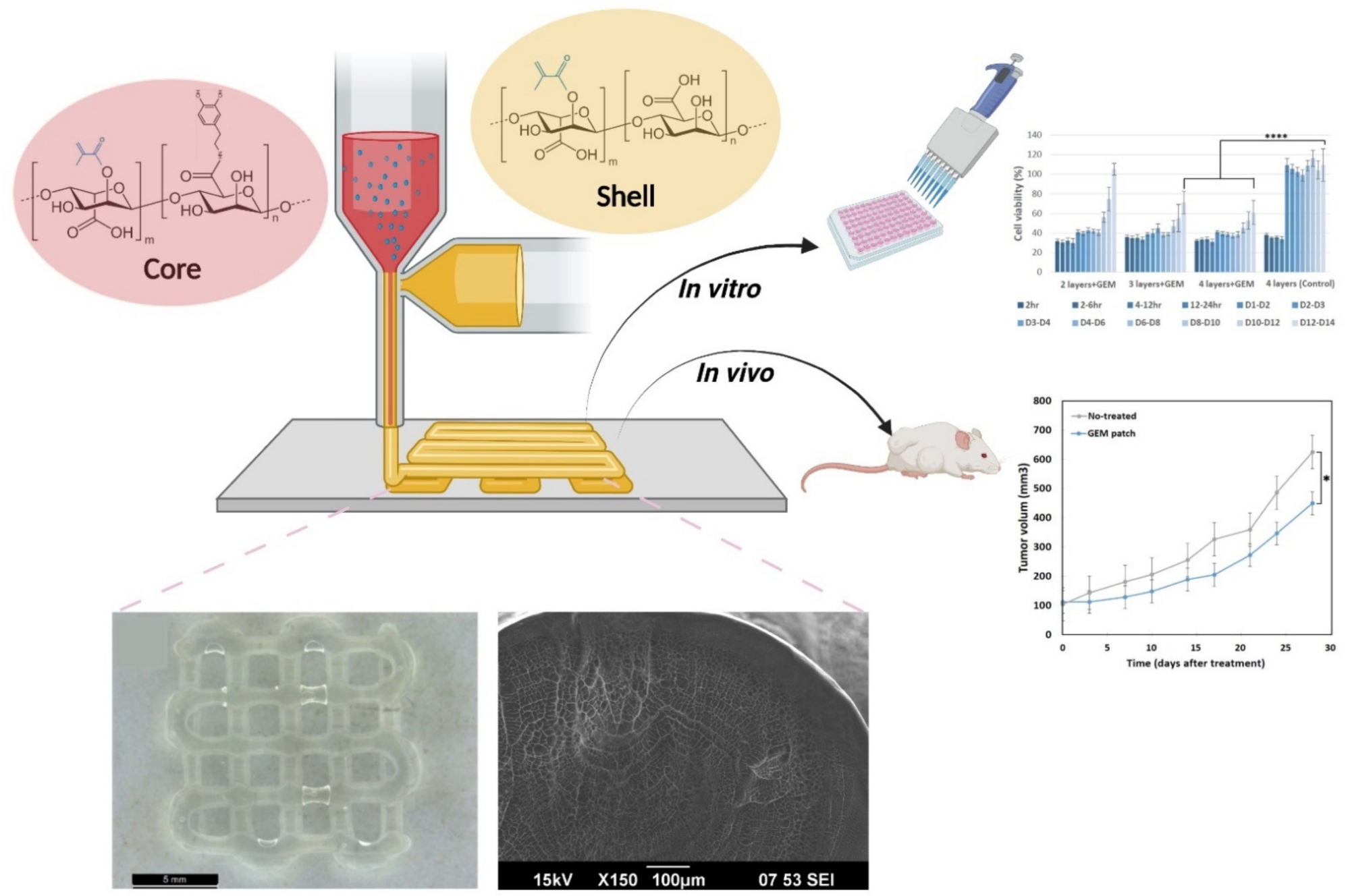 Schematic showing the 3D printing of coaxial hydrogel patches, their morphology, and their subsequent in vitro and in vivo testing. **** p = 0.0001, * p = 0.05.