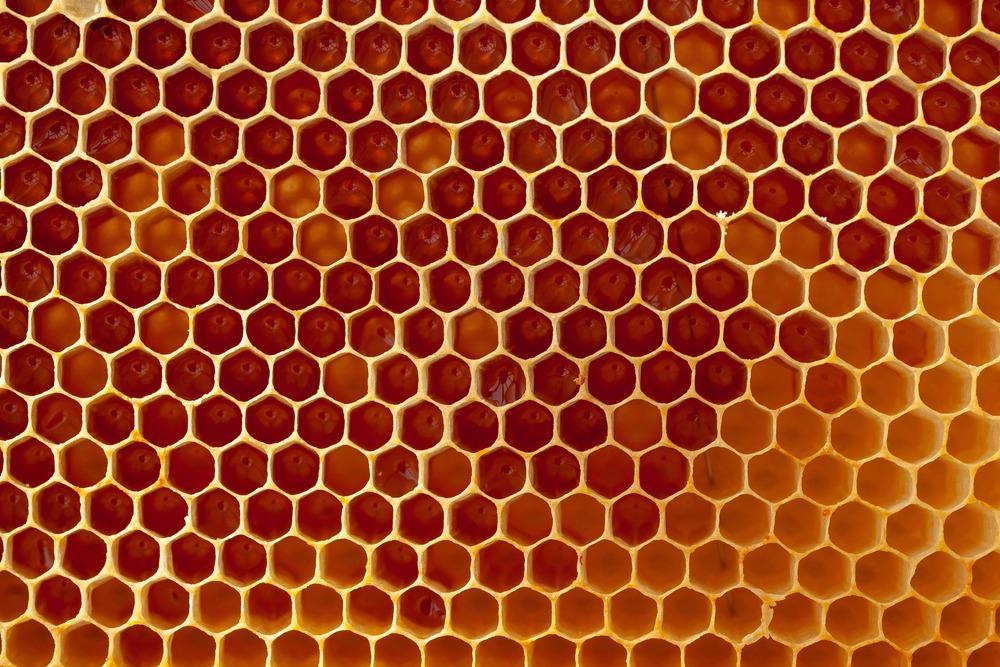 honeycomb drawing