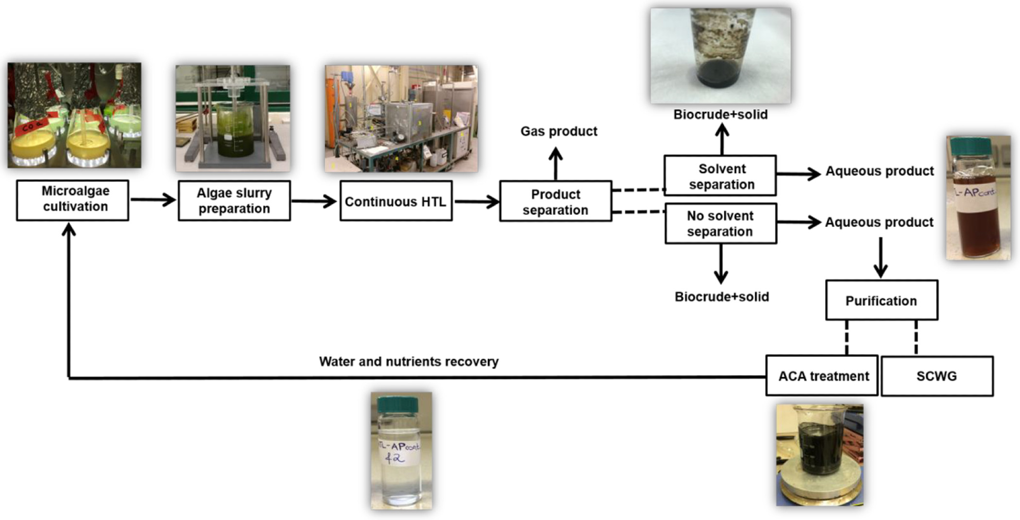 Overall experimental flowchart of this work.