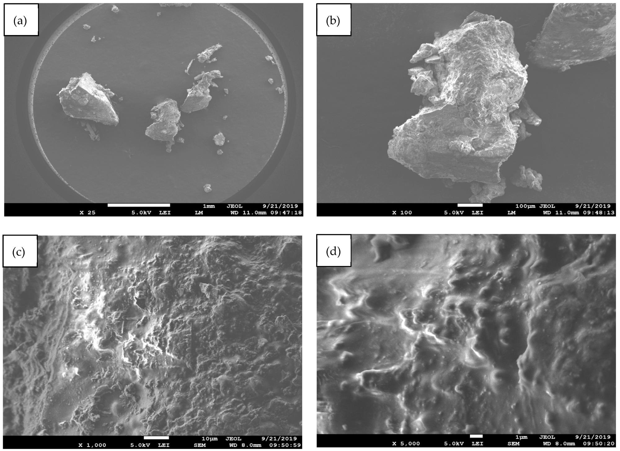 Figure 3 SEM images of Neotrygon kuhlii fish waste for (a) 25×, (b) 100×, (c) 1000×, and (d) 5000×, resolutions.