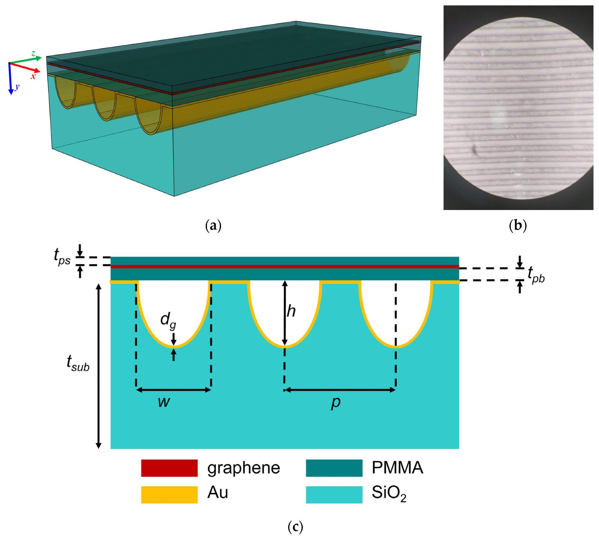 (a) Three-dimensional sketch of the graphene/gold/patterned SiO2 metasurface. (b) Photo of the top view of the graphene/gold/SiO2 patterned metasurface. (c) Cross-section of the metasurface.