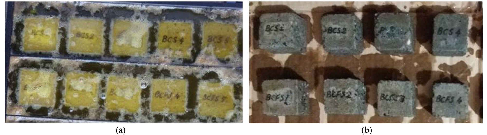 Resistance to the action of hydrochloric acid: (a) Specimens immersed in 18% HCl solution; (b) Specimens’ aspect after 10 days of immersion in 18% HCl solution.