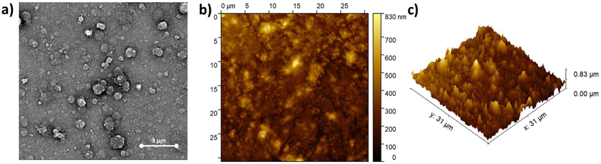 (a) SEM and (b,c) AFM images of (ZnPcNH2)layer electrodeposited on ITO.