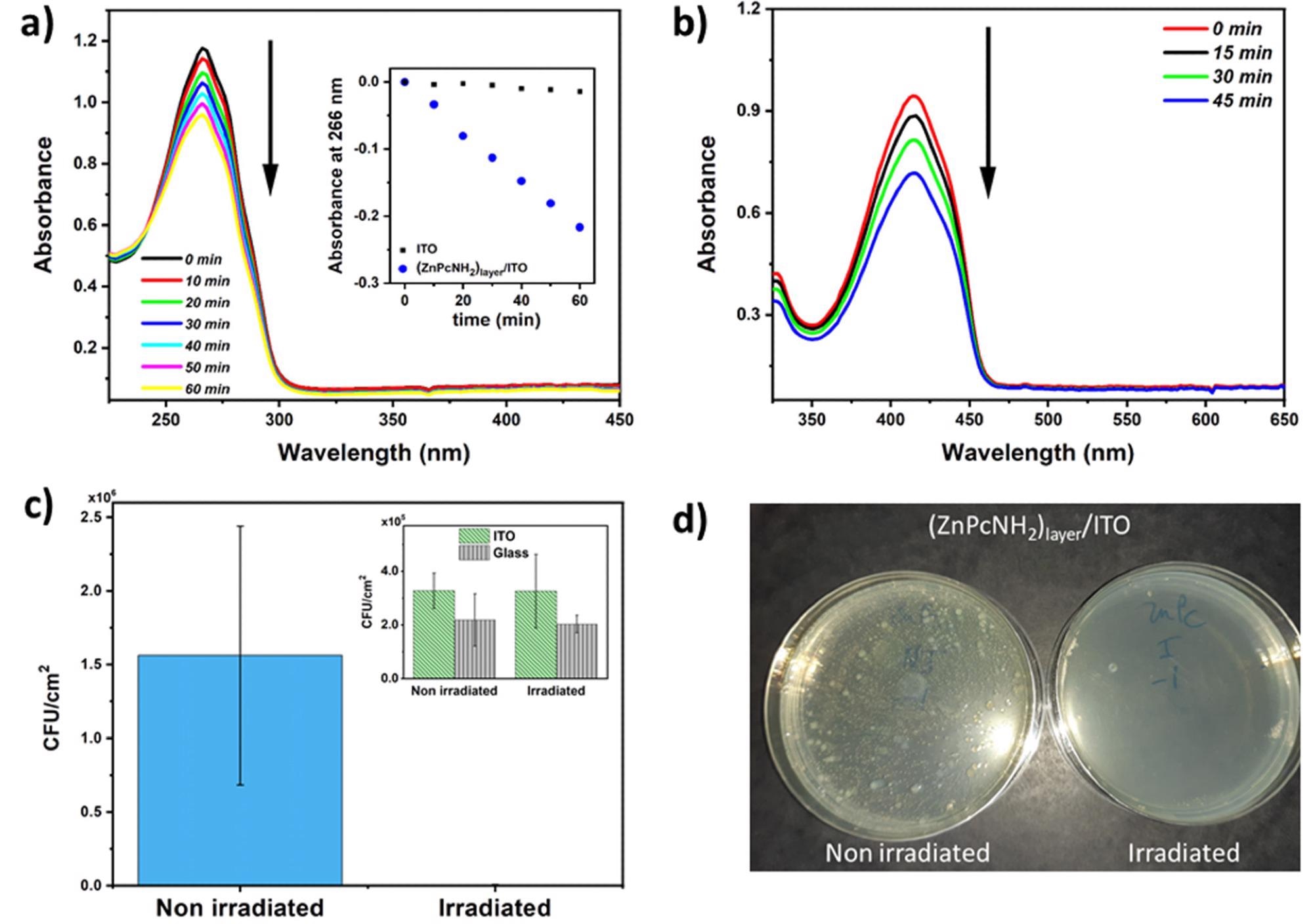 (a) UV–Vis spectra of a-terpinene (ACN solution) recorded during illumination of (ZnPcNH2)layer; inset: a drop in absorbance at 266 nm during illumination of unmodified ITO and (ZnPcNH2)layer/ITO. (b) UV–Vis spectra of DPBF (methanol solution) recorded during illumination of (ZnPcNH2)layer. (c) Evolution of colony-forming units, CFU/cm2 (for S. aureus), at the surface of the non-irradiated and irradiated (ZnPcNH2)layer/ITO; inset: ITO and glass, p < 0.001, n = 4. (d) Optical images of S. aureus colonies on Petri dish after 48 h of incubation at 37 °C that adhered to the (ZnPcNH2)layer/ITO surface with and without irradiation.