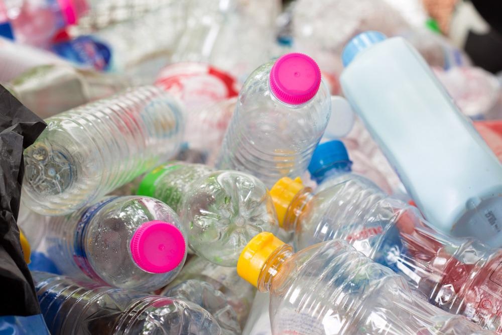 Biodegradation of Plastic Waste Using Insects