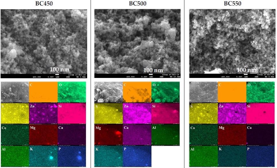 SEM images and elemental distribution maps of the ground rubber-based chars.