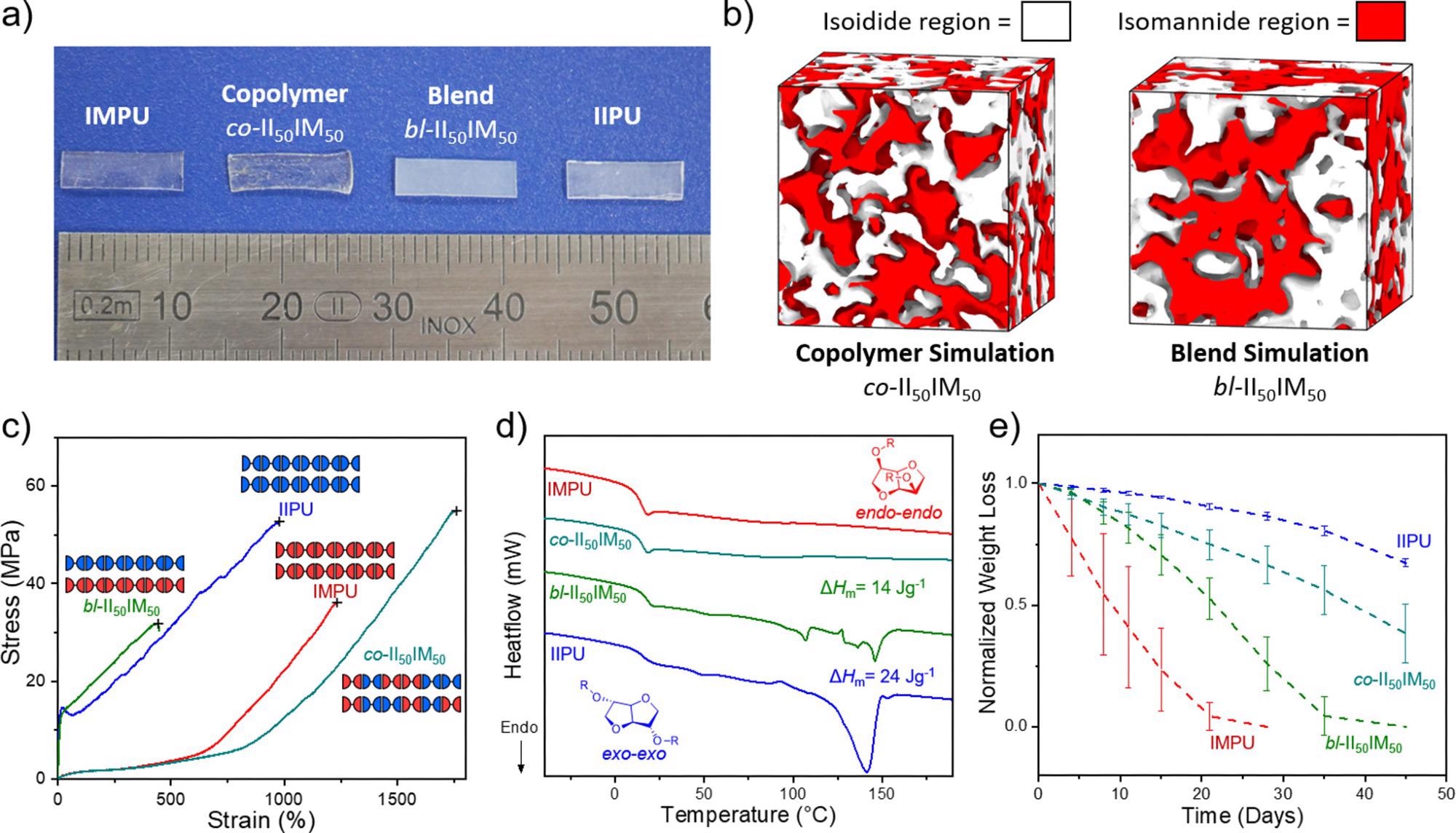 Figure 3. (a) Image of heat-compressed IIPU, IMPU, co-II50IM50, and bl-II50IM50 to illustrate crystallinity differences. (b) Bulk system simulations of co-II50IM50 and bl-II50IM50 illustrating the separation of isoidide (white) and isomannide (red) regions. (c) DSC thermograms of the first heating cycle of annealed IIPU, IMPU, co-II50IM50, and bl-II50IM50 at 10 K·min–1. Total enthalpy of melting (?Hm) calculated from integration of all melting transitions. (d) Representative stress vs strain tensile curves of annealed IIPU, IMPU, and both statistical copolymers and a physical blend at 50/50 II/IM (n > 3). Mechanical testing was performed at 10 mm·min–1. (e) Normalized weight loss of IIPU, IMPU, co-II50IM50, and bl-II50IM50 discs in 1 M NaOH(aq) over 45 days at 25 °C. n = 3. (f) Table summarizing thermomechanical properties of blend and copolymer in comparison to IIPU and IMPU homopolymers: aYoung’s modulus; bultimate tensile strength (UTS); cstrain at break.