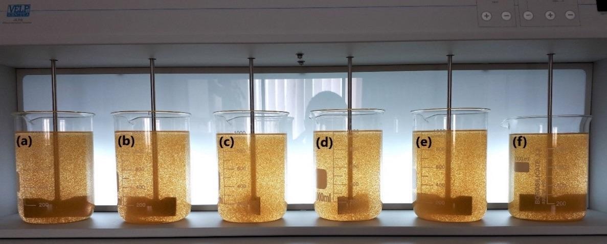 Jar test with chitozan-based flocculant in polymer dose (a) 0.1, (b) 0.2, (c) 0.3, (d) 0.5, (e) 1.0, (f) 0.2 mg/L + 1 mg Al3+/L of PAX XL10 coagulant, respectively.