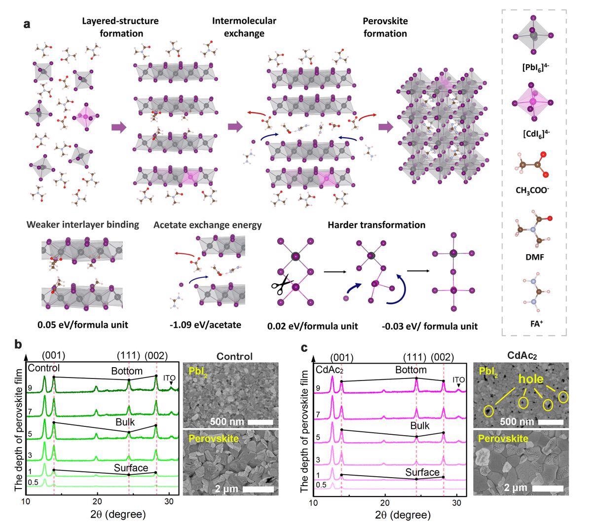 Schematic formation of nano-hole array PbI2 and FAPbI3 films.