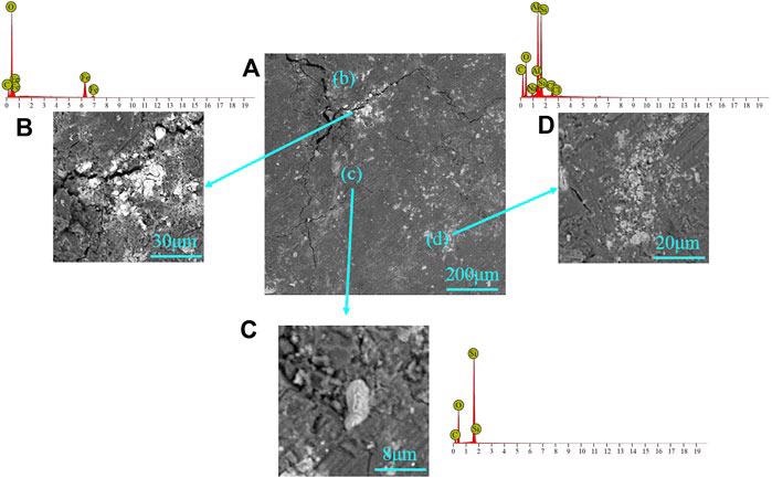 SEM-EDS for the mineral in the coal sample: (A) coal matrix, (B) siderite, (C) quartz, and (D) kaolinite.