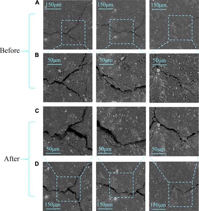 SEM images before (A,B) and after (C,D) the reaction; rows (B,C) are in high resolution, while rows (A,D) are in low resolution.
