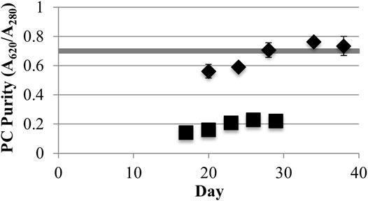 Phycocyanin (PC) purity (A620/A280) from low (40) (?) and high (220) (¦) light (µmol photons m-2s-1 PAR) incidence (one standard deviation shown, n = 3). The shaded horizontal bar shows the minimum limit for food grade purity (A620/A280 = 0.7).