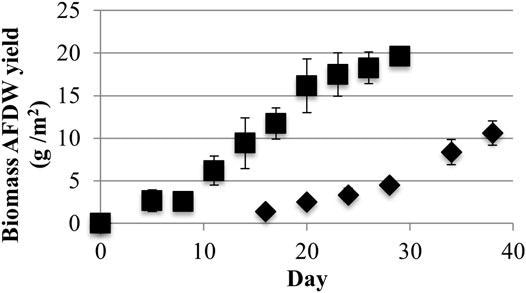 Growth surface area biomass Ash Free Dry Weight (AFDW) yields from low (40) (?) and high (220) (¦) light (µmol photons m-2s-1 PAR) conditions (one standard deviation shown, n = 3).