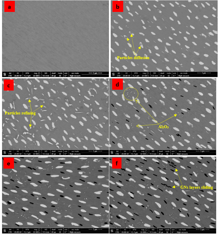 The microstructure of rolled samples.