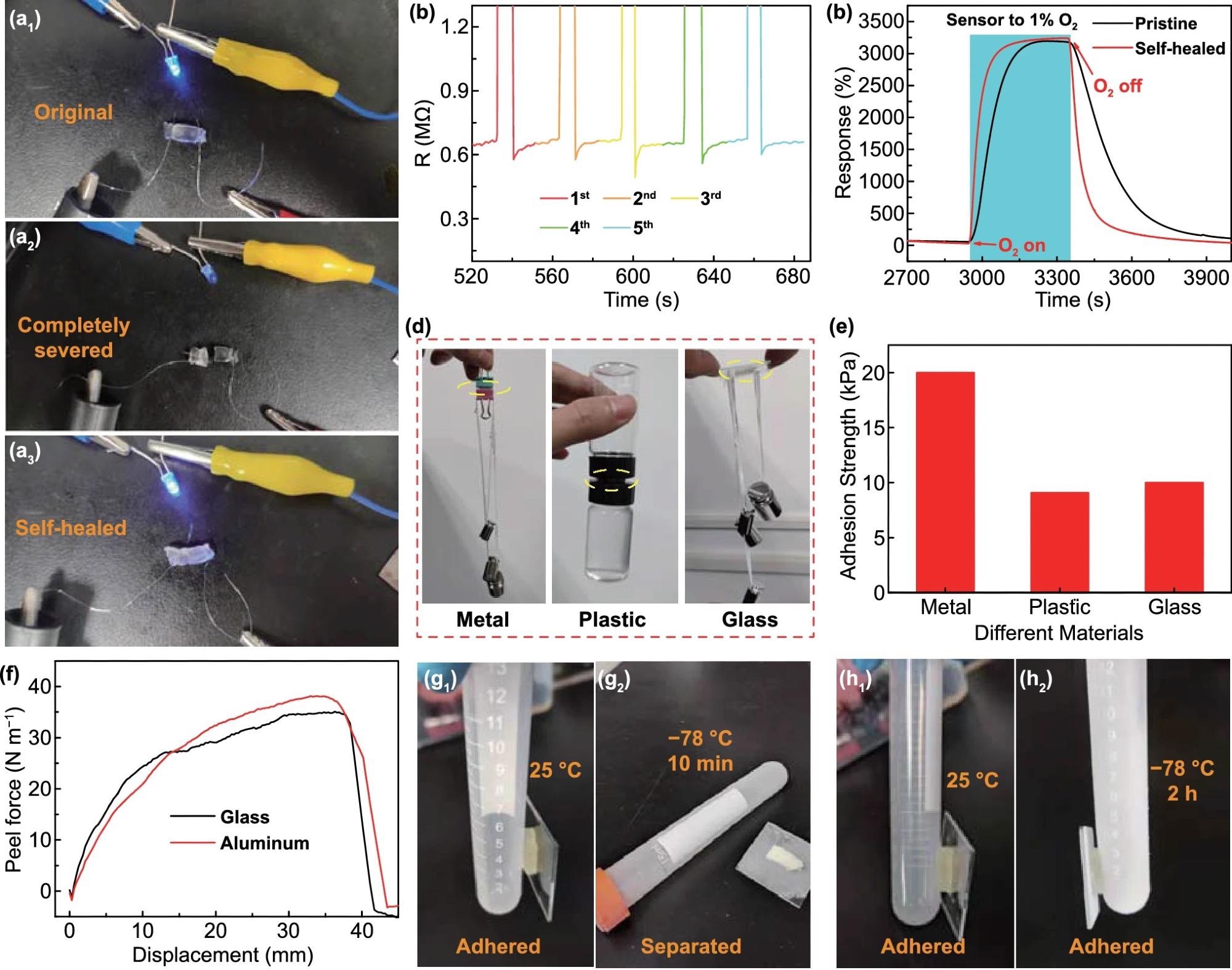 Self-healing and self-adhesive abilities of organohydrogel. a The change of on and off states of the LED indicator in the series circuit when the organohydrogel was in the states of (1) original, (2) completely severed, and (3) self-healed. b Time evolution of cyclical electrical self-healing processes of organohydrogels by real-time resistance measurement. c Dynamic responses of the sensor to 1% O2 in the pristine and self-healed states. d Photographs showing the organohydrogel (marked by the yellow circle) adhered firmly to various materials: metals, plastic, and glass. e The adhesion strength of organohydrogel on different substrates. f Peel force versus displacement curves of organohydrogel when adhered on different substrates. Photographs depicting g the untreated hydrogel could and could not adhere to the plastic centrifuge tube at 25 and -78 °C, respectively, whereas h the organohydrogel adhered firmly to the plastic centrifuge tube at both temperatures