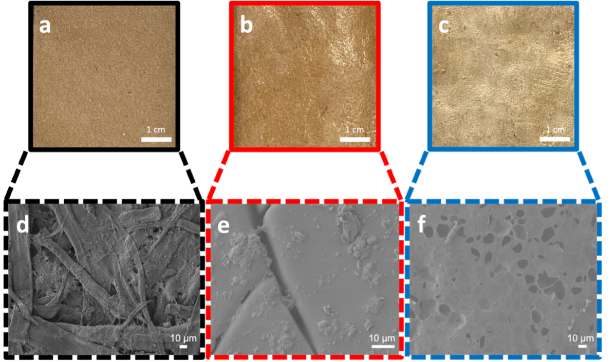 Figure 3. Photographs (top) and SEM images (bottom) of uncoated (a,d), coated (b,e), and crosslinked (c,f) paper, respectively.