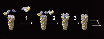 New Green Method to Make Polymer Production More Sustainable