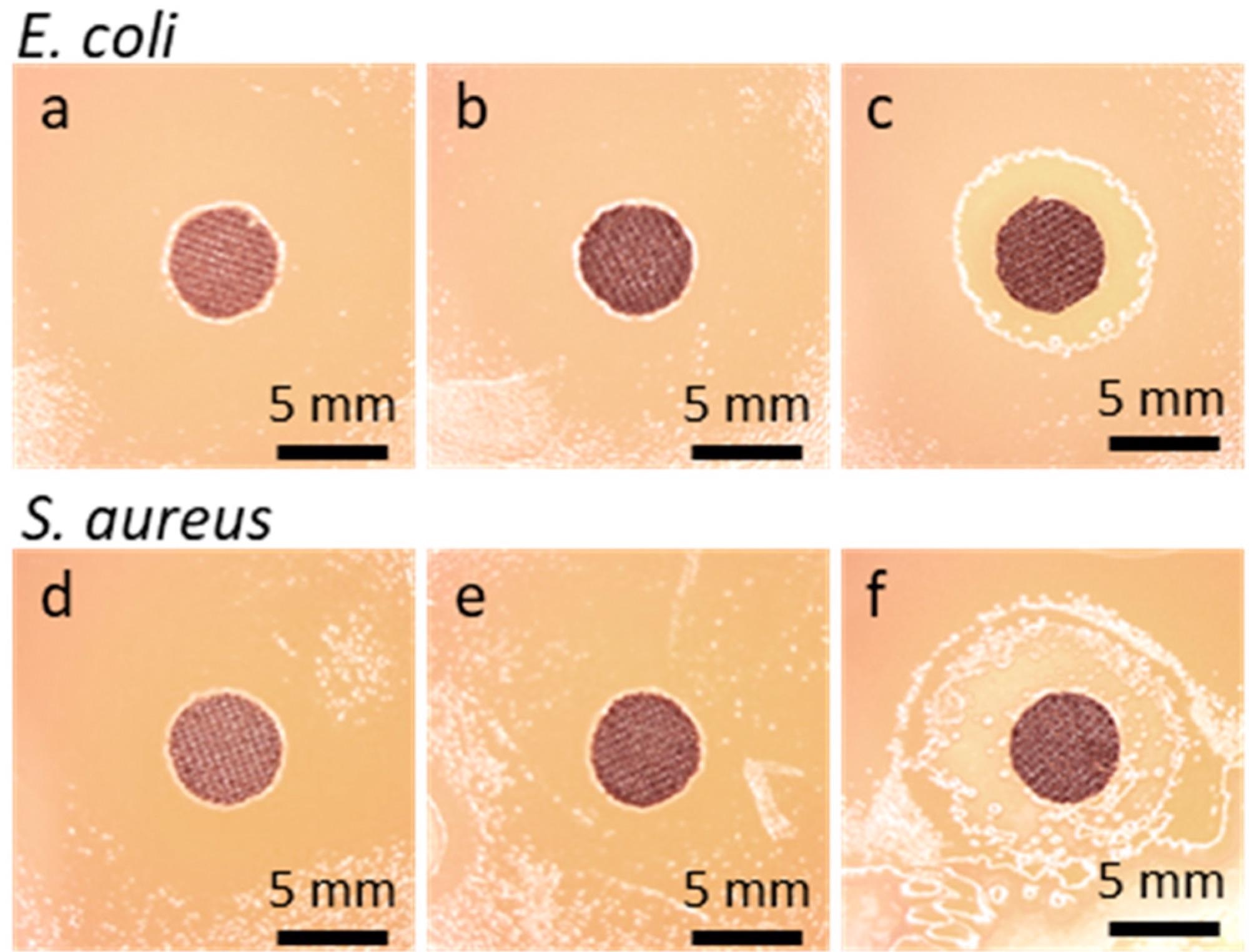 Disk specimens of cotton fabric on bacteria inoculated agar after 48 h incubation: E. coli (a) GO-coated, (b) rGO-coated, (c) Ag°/rGO-coated; S. aureus, (d) GO-coated, (e) rGO-coated, (f) Ag°/rGO-coated.