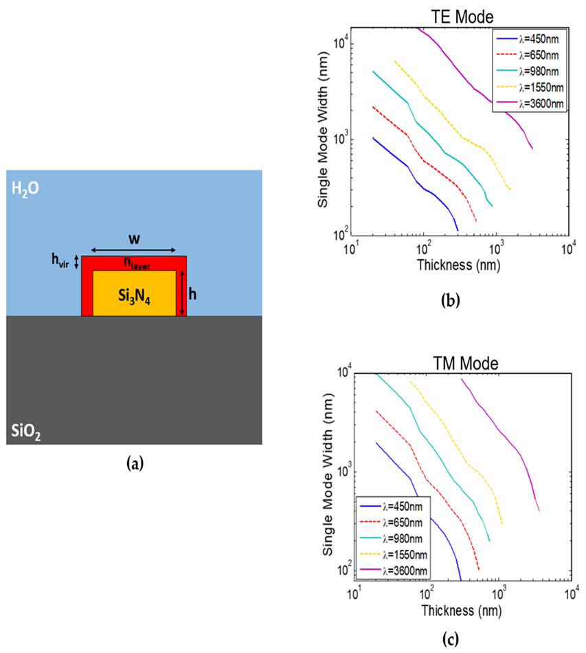 (a) Schematic of surface-functionalized Si3N4 on SiO2 strip waveguide for virus detection with a layer representing virus attachment. Strip waveguide single-mode width versus waveguide thickness at different wavelengths of: (b) TE mode and (c) TM mode.
