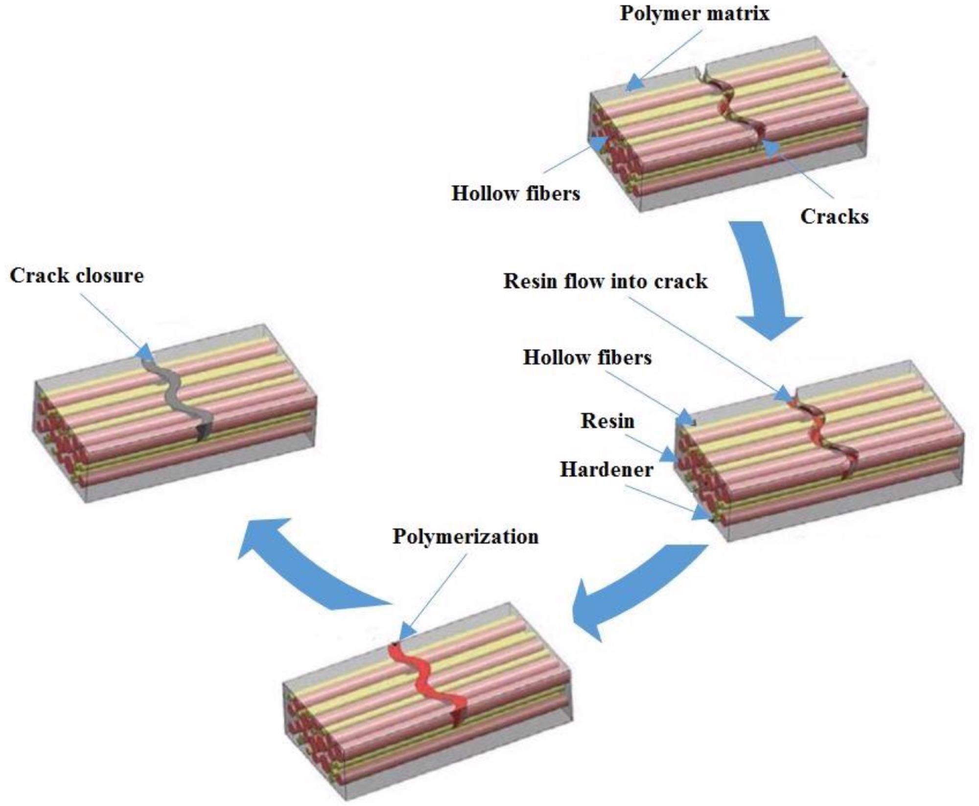 Schematic representation of self-healing concept using hollow fibers.