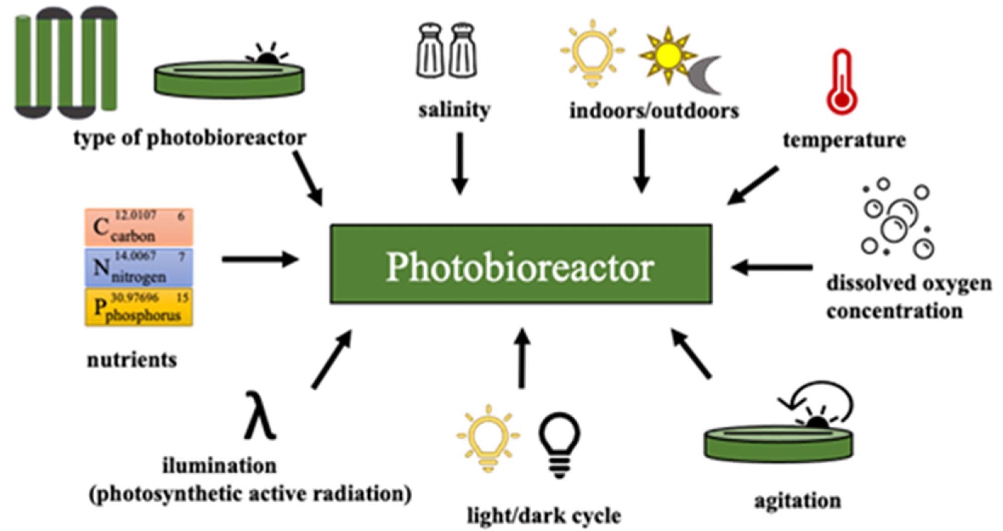 Schematic representation of the main variables in cultivation of microalgae biomass.