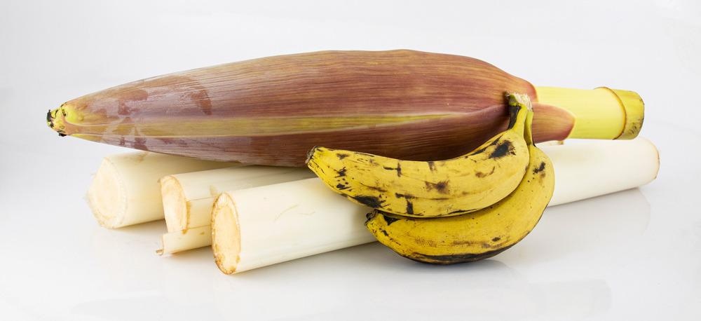 Banana Fiber Sound Insulation